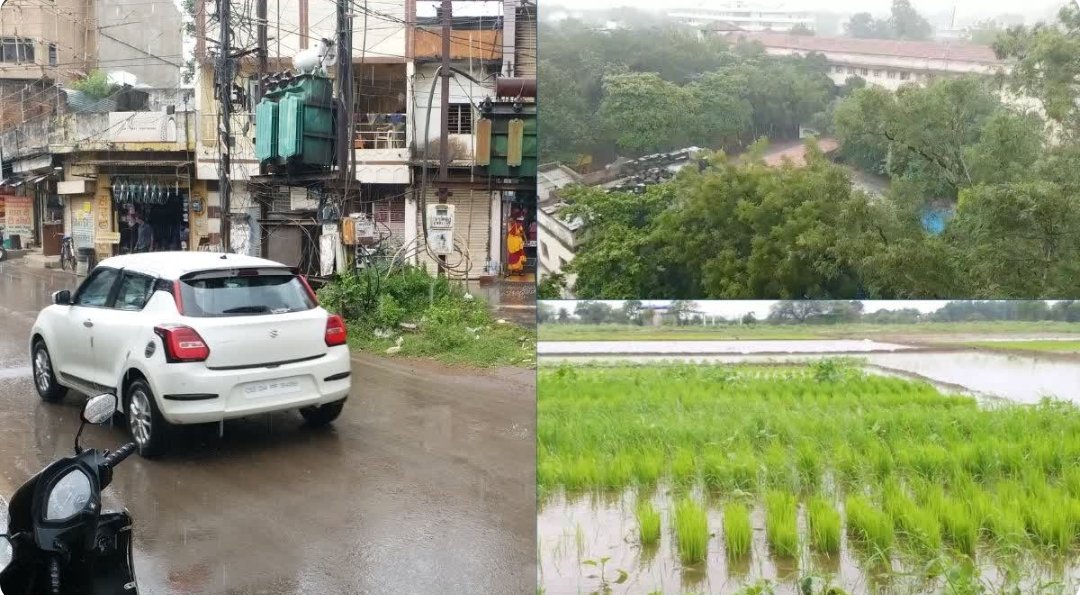 *छत्तीसगढ़ में मानसून तेज, सरगुजा-बिलासपुर में भारी बारिश का अलर्ट, 22 फीसदी कम हुई बारिश*